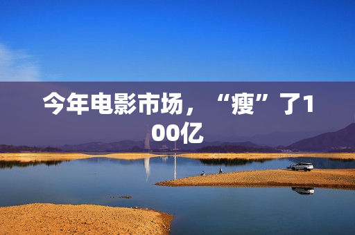 今年电影市场,“瘦”了100亿 今年电影市场,“瘦”了100亿