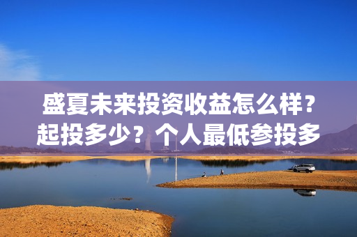 盛夏未来投资收益怎么样？起投多少？个人最低参投多少？(盛夏未来总投资)