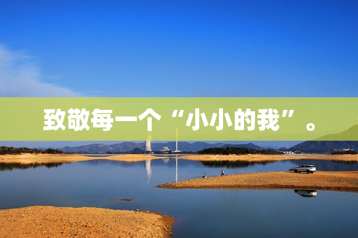 致敬每一个“小小的我”。