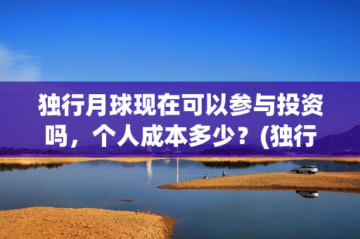 独行月球现在可以参与投资吗，个人成本多少？(独行月球结局什么意思)
