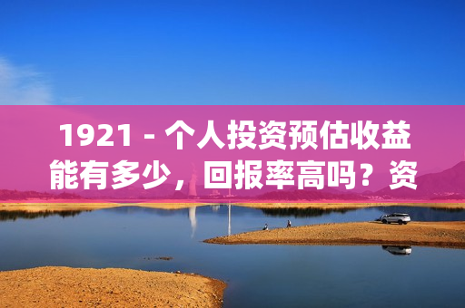 1921 - 个人投资预估收益能有多少，回报率高吗？资金安全吗？(中国个人投资者)