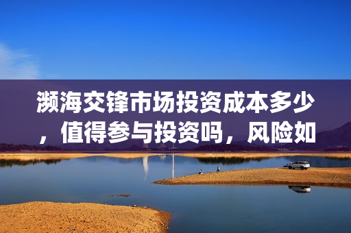 濒海交锋市场投资成本多少，值得参与投资吗，风险如何？(濒海交锋怎么投资)