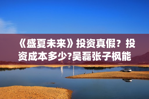 《盛夏未来》投资真假？投资成本多少?吴磊张子枫能吸多少票房？(《盛夏未来》上映)