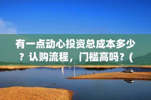 有一点动心投资总成本多少？认购流程，门槛高吗？(有一点动心出品方)