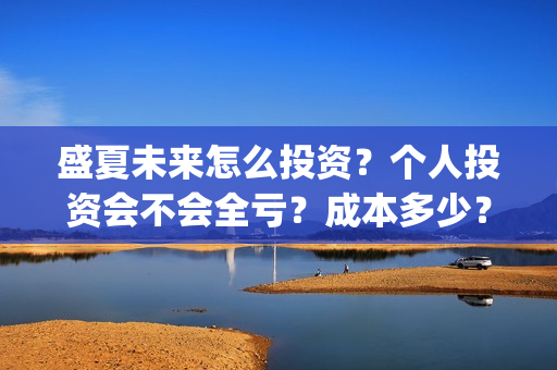 盛夏未来怎么投资？个人投资会不会全亏？成本多少？(盛夏未来录屏)