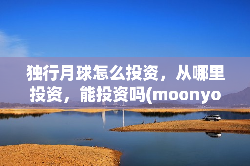 独行月球怎么投资,从哪里投资,能投资吗(moonyou-独行月球) 独行月球怎么投资,从哪里投资,能投资吗(moonyou-独行月球)