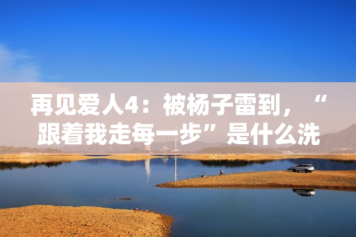 再见爱人4:被杨子雷到,“跟着我走每一步”是什么洗脑话术吗? 再见爱人4:被杨子雷到,“跟着我走每一步”是什么洗脑话术吗?