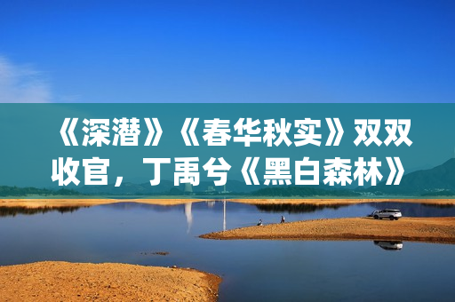 《深潜》《春华秋实》双双收官，丁禹兮《黑白森林》定档|剧日报