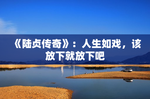 《陆贞传奇》：人生如戏，该放下就放下吧