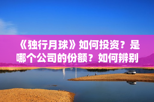《独行月球》如何投资?是哪个公司的份额?如何辨别?(moonyou-独行月球) 《独行月球》如何投资?是哪个公司的份额?如何辨别?(moonyou-独行月球)
