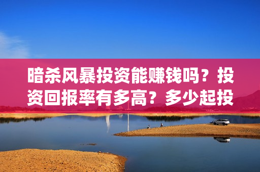 暗杀风暴投资能赚钱吗？投资回报率有多高？多少起投(暗杀风暴百科)