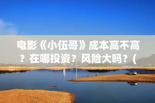 电影《小伍哥》成本高不高？在哪投资？风险大吗？(电影小伍哥出品方是谁)