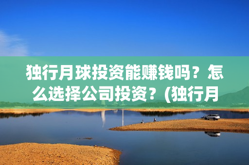 独行月球投资能赚钱吗？怎么选择公司投资？(独行月球投资方)