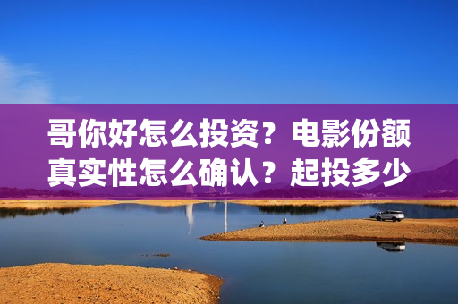 哥你好怎么投资？电影份额真实性怎么确认？起投多少？(你好哥哥)