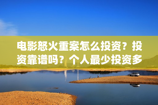 电影怒火重案怎么投资？投资靠谱吗？个人最少投资多少？(电影 怒火重案)