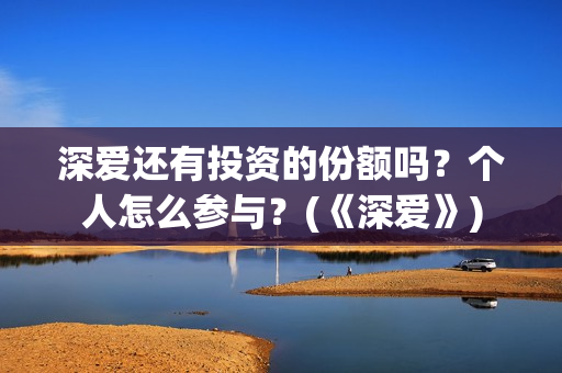 深爱还有投资的份额吗？个人怎么参与？(《深爱》)