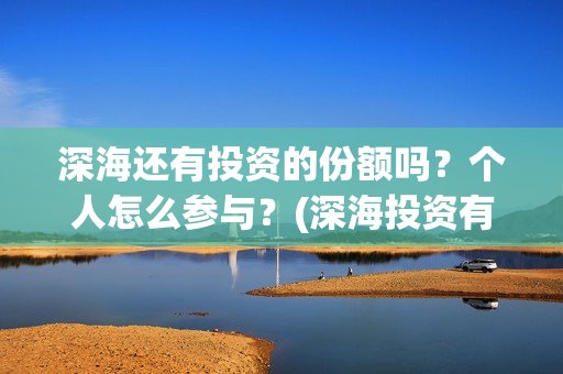 深海还有投资的份额吗？个人怎么参与？(深海投资有限公司)