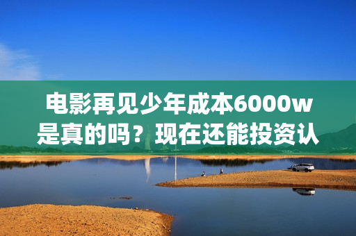 电影再见少年成本6000w是真的吗？现在还能投资认购份额吗？(电影《再见少年》)