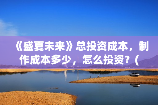 《盛夏未来》总投资成本，制作成本多少，怎么投资？(盛夏未来mng)