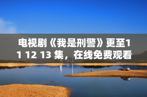 电视剧《我是刑警》更至11 12 13 集，在线免费观看（ 附资源）