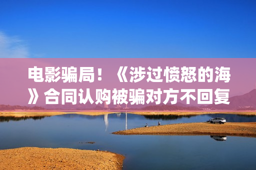 电影骗局！《涉过愤怒的海》合同认购被骗对方不回复怎么办？怎么追回资金？(电影诈骗案件立案后公安会怎么处理)