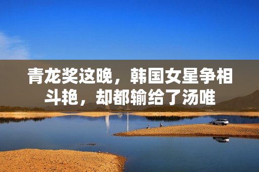 青龙奖这晚，韩国女星争相斗艳，却都输给了汤唯