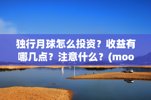 独行月球怎么投资？收益有哪几点？注意什么？(moonyou-独行月球)