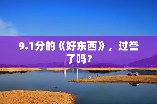 9.1分的《好东西》，过誉了吗？