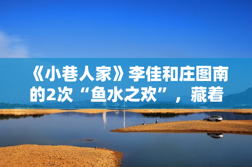 《小巷人家》李佳和庄图南的2次“鱼水之欢”，藏着成年人的算计