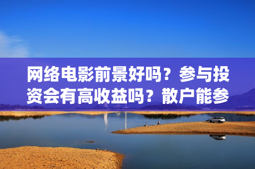 网络电影前景好吗？参与投资会有高收益吗？散户能参与吗？(网络电影目前现状)