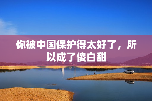 你被中国保护得太好了，所以成了傻白甜