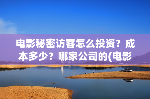 电影秘密访客怎么投资？成本多少？哪家公司的(电影秘密访客有彩蛋吗)