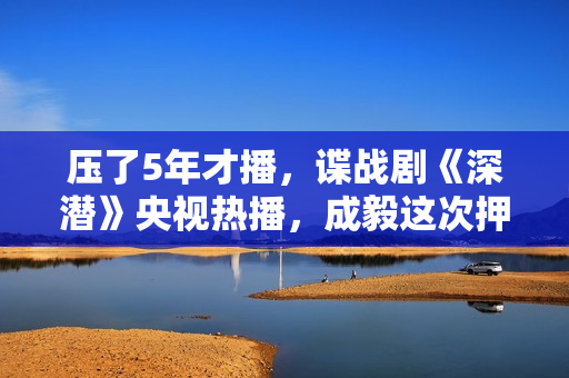 压了5年才播，谍战剧《深潜》央视热播，成毅这次押对了