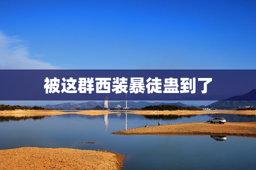 被这群西装暴徒蛊到了