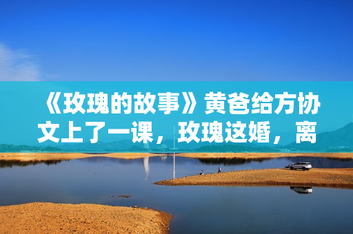 《玫瑰的故事》黄爸给方协文上了一课，玫瑰这婚，离对了！