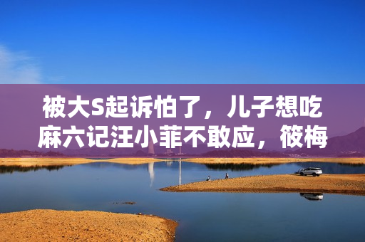 被大S起诉怕了，儿子想吃麻六记汪小菲不敢应，筱梅一招化解尴尬