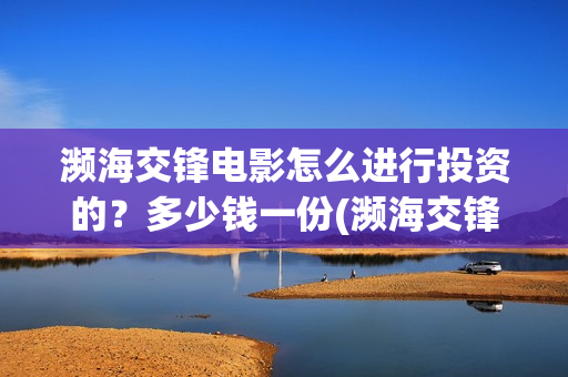 濒海交锋电影怎么进行投资的？多少钱一份(濒海交锋电影怎么样)