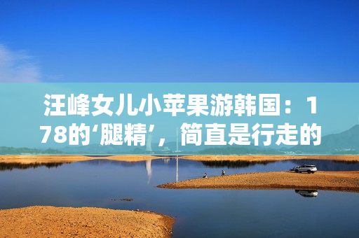 汪峰女儿小苹果游韩国：178的‘腿精’，简直是行走的颜值担当！