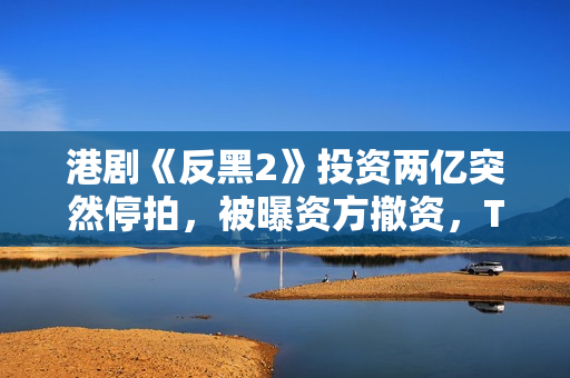 港剧《反黑2》投资两亿突然停拍，被曝资方撤资，TVB多位艺人参演