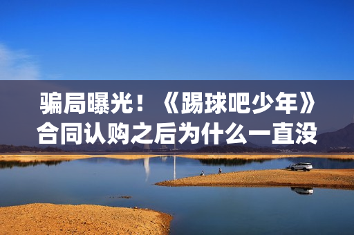 骗局曝光!《踢球吧少年》合同认购之后为什么一直没有上映?这是骗局吗?——抵制耐克(踢踹要害) 骗局曝光!《踢球吧少年》合同认购之后为什么一直没有上映?这是骗局吗?——抵制耐克(踢踹要害)