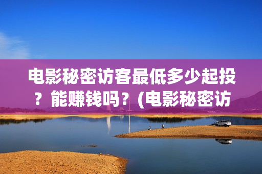 电影秘密访客最低多少起投？能赚钱吗？(电影秘密访客主演)