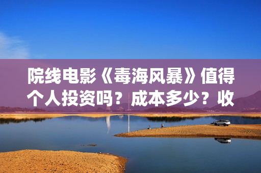 院线电影《毒海风暴》值得个人投资吗？成本多少？收益空间如何？(毒海风云简介)