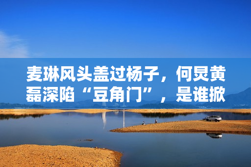 麦琳风头盖过杨子,何炅黄磊深陷“豆角门”,是谁掀起全民骂战? 麦琳风头盖过杨子,何炅黄磊深陷“豆角门”,是谁掀起全民骂战?