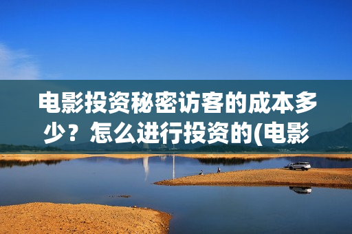 电影投资秘密访客的成本多少？怎么进行投资的(电影投资秘密访客演员表)