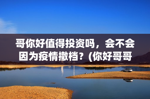 哥你好值得投资吗，会不会因为疫情撤档？(你好哥哥)