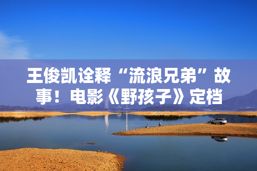 王俊凯诠释“流浪兄弟”故事！电影《野孩子》定档