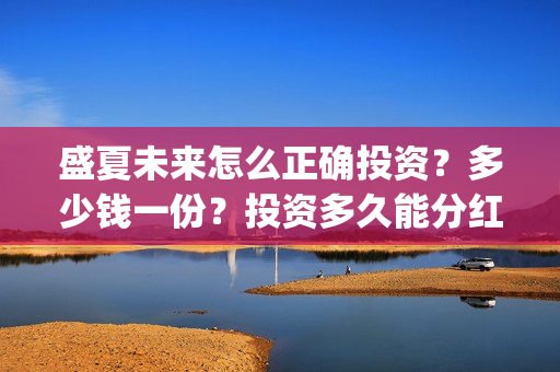盛夏未来怎么正确投资？多少钱一份？投资多久能分红？(盛夏未来zy)