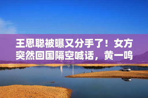 王思聪被曝又分手了！女方突然回国隔空喊话，黄一鸣开心带娃出游