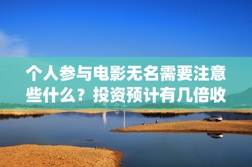 个人参与电影无名需要注意些什么？投资预计有几倍收益？(个人电影投资是真的吗)