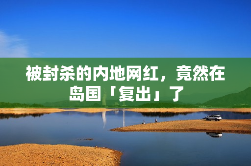 被封杀的内地网红，竟然在岛国「复出」了
